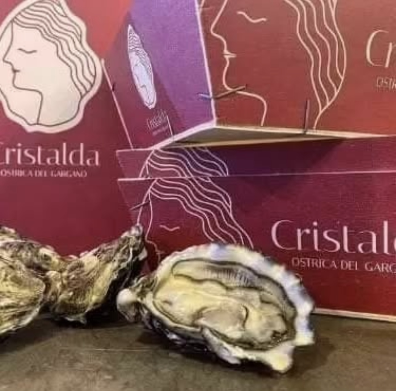 Speciale Cristalda - Oyster Oasis