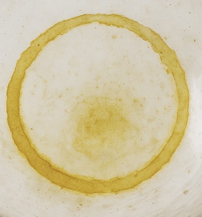 Carso Malvasia Doc - Castello di Rubbia