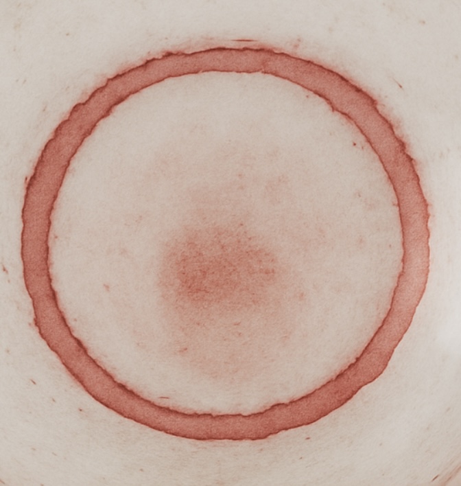 Rosato IGT Salento  Calafuria - Tomaresca