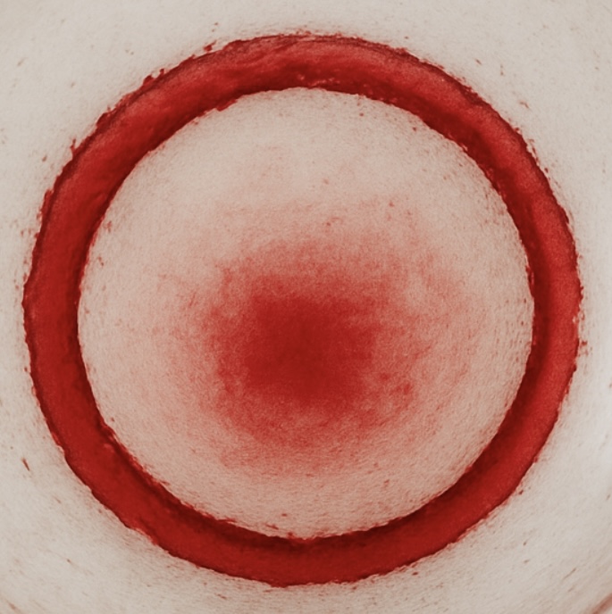 Francia - Beaujolais Lantignié - Domaine Dubost