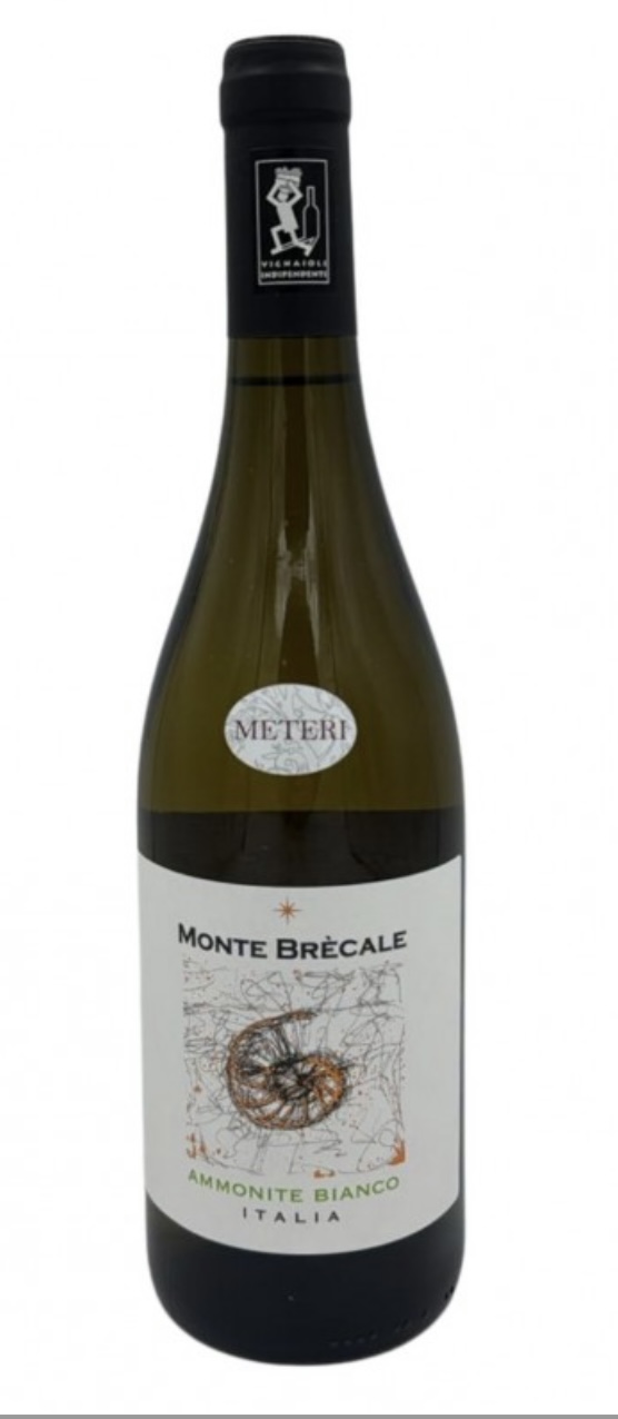 Ammonite Bianco 2023 - MONTE BRECALE AZ.AGR.