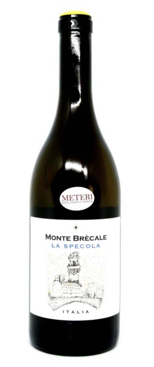 CHARDONNAY 2023 - MONTE BRECALE AZ. AGR.