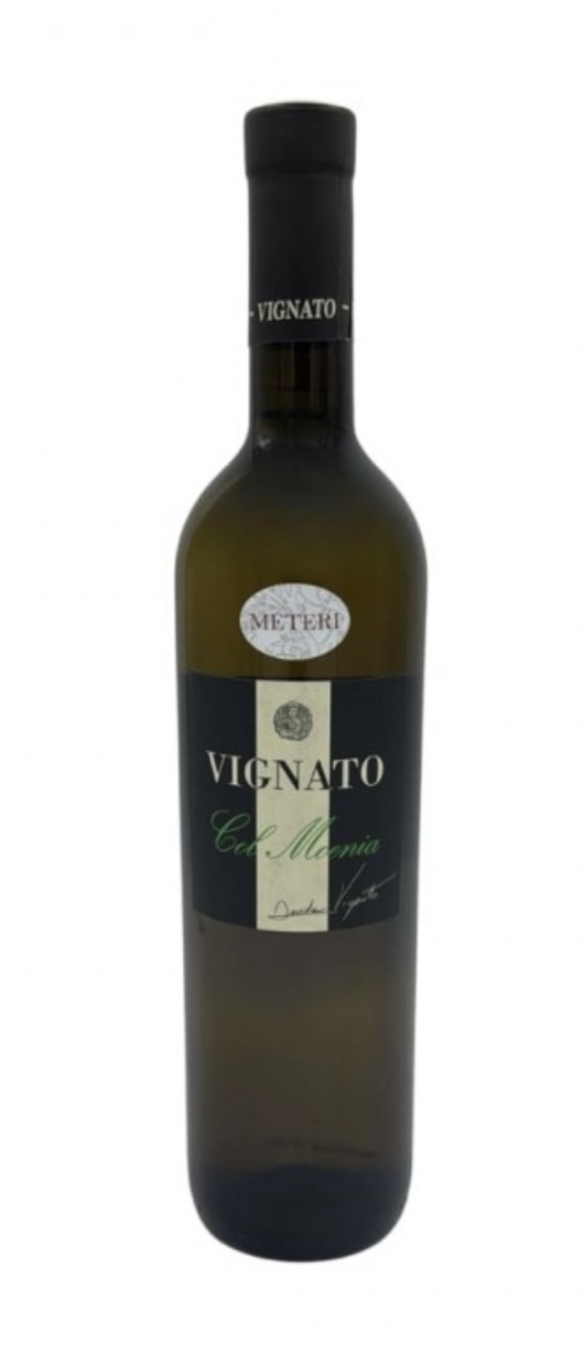 COL MOENIA GARGANEGA IGT VENETO 2021 - DAVIDE VIGNATO