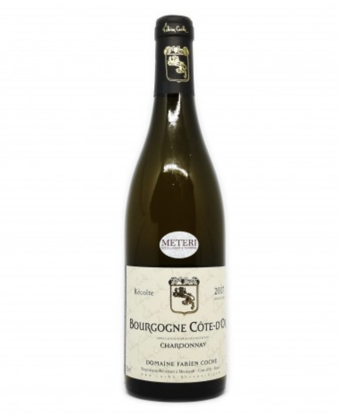 BOURGOGNE COTE D'OR CHARDONNAY 2022 - FABIEN COCHE